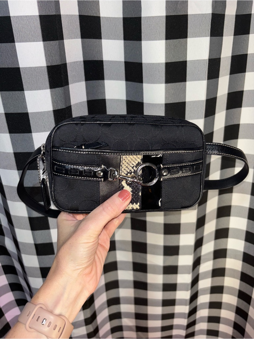 Coach Signature Python Stripe Belt Bag Y2K
